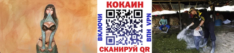 мега ONION  Завитинск  Cocaine FishScale 