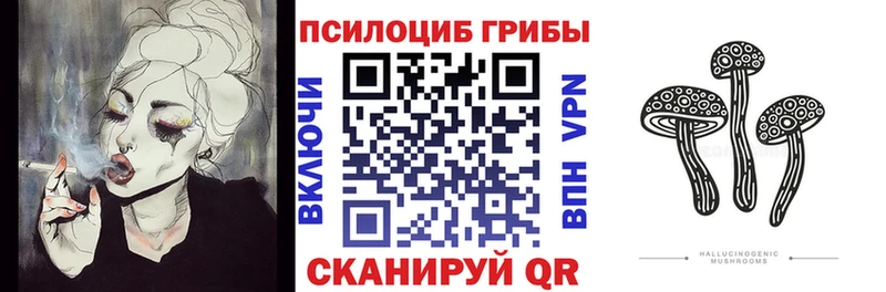 Псилоцибиновые грибы Cubensis  Завитинск 